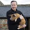 Story image for cameron pig from Daily Mail