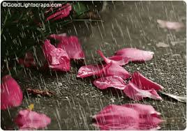 rainy season ss rainy season