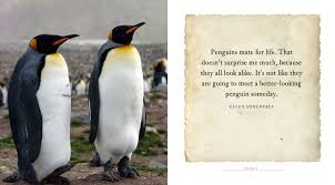 Best penguins quotes selected by thousands of our users! Waddle Exisle Publishing