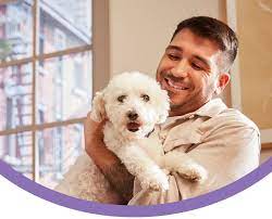 Embrace Pet Insurance gambar png