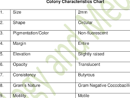 Colony Characteristics Chart Download Table