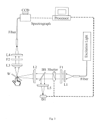 noninvasive measurement of flavonoid