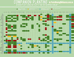 This Chart Shows Which Plants Grow Well Together And Which