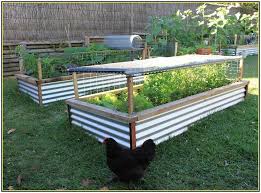 corrugated metal garden beds diy fence