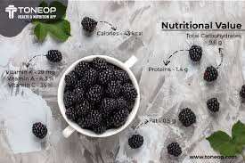 blackberry fruit nutritional value and
