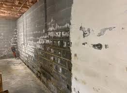 Moldy Basement Interior Waterproofing