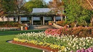 Dallas Blooms A Great Example Of
