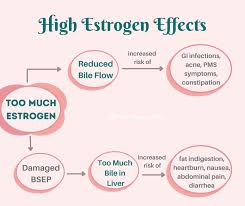 you know estrogen but do you know bile