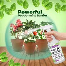 Mighty Mint 32 Oz Plant Protection