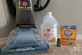 all natural carpet cleaning solution