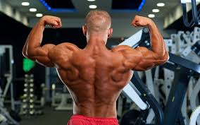 sut back workout muscle strength