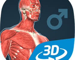 Open unity and create a new 3d project. Human Body Male Vr 3d Apk Free Download App For Android