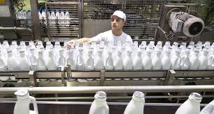 La filière laitière française en chiffres | Filière laitière