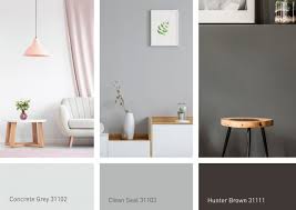Rejuvenate Your Home With Kcc Paint 2019 Colour Trends The