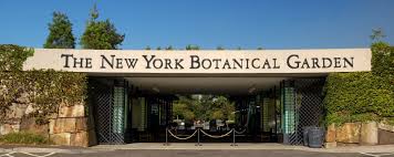 new york botanical garden photo gallery