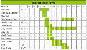 Big Flat Brook River Fly Fishing