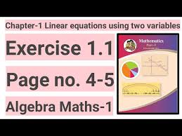 Exercise 1 1 Linear Equations Using Two