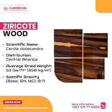 ziricote wood at whole