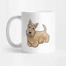 dog scottish terrier wheaten