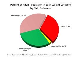 Obesity Prevention Update Delaware Health And Social