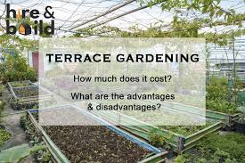 Terrace Gardening 2020 Advantages