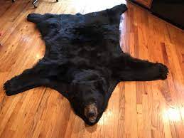 black bear rug 2 deep creek times