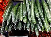 What are English cucumber varieties?