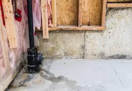 basement waterproofing why your