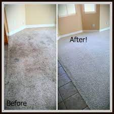 lee carpet cleaners 19 photos 14