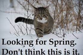 I Love Loveland - Got any good Colorado spring snow memes? ;) | Facebook