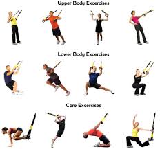 suspension training trx facts and