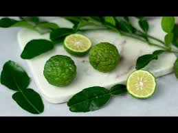what are kaffir lime leaves and how to