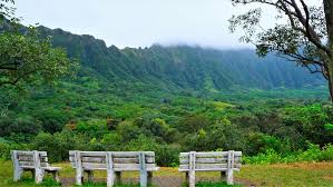 hiking hoomaluhia botanical gardens in