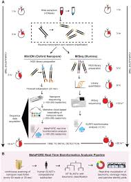 Rapid Metagenomic Identification Of Viral Pathogens In