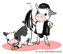 FurryBooru - bdsm bondage bound bovine cattle cow gag humor humour leather  male mammal nude zinacat | 2844