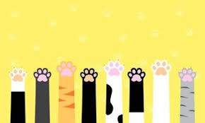 cat wallpaper vector art icons and