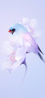 cute bird wallpaper 4k cherry blossom