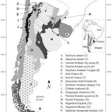 Giovanni gonzález, josé maría giménez, diego godín, matías viña; Map Of Southern South America Argentina Chile And Uruguay Comprised Download Scientific Diagram