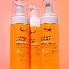 sweet chef carrot ginger and salicylic