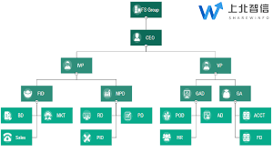 80 Specific Centralized Procedure Flow Chart