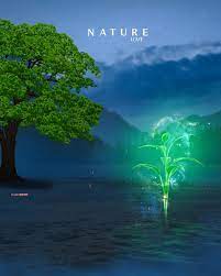 nature editing background hd total png