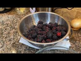 blackberry freezer jam 2 batches with 2