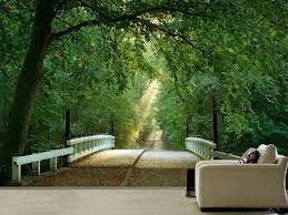 Bridge To The Forest Wall Mural About