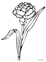 1020 x 1440 file type: Carnation Coloring Pages Kizi Coloring Pages