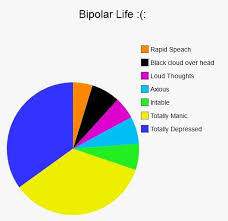 The Most Accurate Pie Chart Ive Ever Seen Bipolar