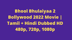 bhool bhulaiyaa 2 2022 bollywood