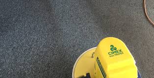 carpet cleaning prosteamuk