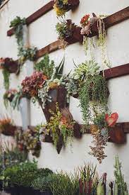 Succulent Garden Wall By Stocksy