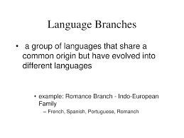 aphug chapter language ppt 8 language