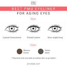 cat eye permanent eyeliner pros